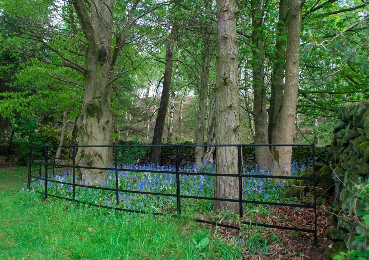 Robin Hood Farm B&B Baslow Extérieur photo